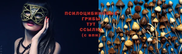 кокаин премиум Новозыбков