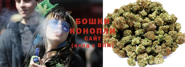 ПСИЛОЦИБИНОВЫЕ ГРИБЫ Новокубанск