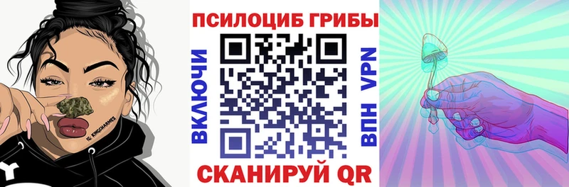 сколько стоит  Катав-Ивановск  Псилоцибиновые грибы GOLDEN TEACHER 